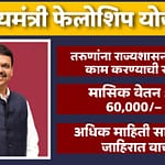 Chief Minister Fellowship