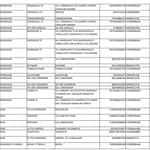 majhi ladki bahin yojana list